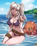 1girl 7th-heaven alluring beach belt big_breasts big_breasts bikini cleavage daruak dovoros fire_emblem fire_emblem_awakening fire_emblem_heroes nipple_bulge ocean octopus pin_up robin_(fire_emblem) robin_(fire_emblem)_(female) robin_(summer)_(fire_emblem)_(female) swimsuit thigh_belt twin_tails water