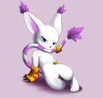  blue_eyes cat digimon feline flat_chest furry gatomon tail tight_pussy white_fur 