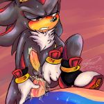 cute furry shadow_the_hedgehog soina sonic_team sonic_the_hedgehog