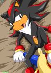 anal black_fur blue_fur erinaceinae erinaceinae_humanoid furry green_eyes hedgehog multicolored_fur rear_deliveries reardeliveries red_eyes sega shadow_the_hedgehog sonic_the_hedgehog sonic_the_hedgehog_(series) yaoi