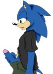 aval0nx cute furry sonic_team sonic_the_hedgehog