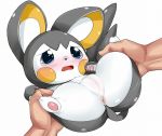  anus big_ears blue_eyes blush cradling emolga endou_masatoshi female hands hindpaw human masatosu555 nude pawpads paws pok&atilde;&copy;mon pokemon pussy spread_legs spreading 