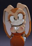ai_generated cream_the_rabbit mobian_(species) rabbit_girl sonic_the_hedgehog_(series) tagme