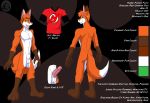 fox furry gay male reference_sheet solo