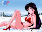1girl accurate_art_style adult_swim alluring bikini bishoujo_senshi_sailor_moon bishoujo_senshi_sailor_moon_r bishoujo_senshi_sailor_moon_r_the_movie bishoujo_senshi_sailor_moon_s bishoujo_senshi_sailor_moon_s_the_movie bishoujo_senshi_sailor_moon_supers bishoujo_senshi_sailor_moon_supers_the_movie black_hair christmas cleavage high_heels medium_breasts michael_benson outside pin_up purple_eyes rei_hino santa_bikini snow toei_animation toonami viz_media