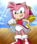  1girl amy_rose anthro female_only furry green_eyes hammer hedgehog panties pantyshot piko_piko_hammer pink_body sega sonic_the_hedgehog_(series) underwear upskirt white_panties 