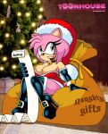 1girl amy_rose christmas female holidays sandybelldf sega solo sonic_the_hedgehog_(series) tagme