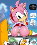 amy_rose mobian_(species) sonic_the_hedgehog_(series) tagme