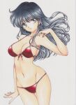 1girl 1girl adult_swim alluring big_breasts bikini bishoujo_senshi_sailor_moon bishoujo_senshi_sailor_moon_s_the_movie black_eyes black_hair cameltoe cleavage front-tie_top high_res himeko_nayotake long_hair matching_hair/eyes medium_breasts momohiyaltuko0124 navel nekito rascal_(n119) red_bikini sideboob simple_background smile swimsuit toei_animation toonami traditional_media viz_media