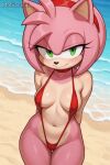 ai_generated amy_rose mobian_(species) sonic_the_hedgehog_(series) tagme