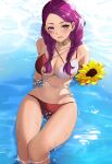 1girl 1girl absurd_res alluring alternate_costume bare_shoulders big_breasts bikini braid brown_eyes collar collarbone cowboy_shot facial_mark fire_emblem fire_emblem:_three_houses flower groin high_res holding holding_flower intelligent_systems long_hair looking_at_viewer multicolored_bikini nintendo partially_submerged petra_macneary purple_hair red_bikini ritence sitting smile sunflower swimsuit twin_braids twin_tails twitter_username two-tone_bikini white_bikini