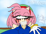 amy_rose mobian_(species) sonic_the_hedgehog_(series) tagme