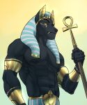anubian_jackal anubis black_body black_fur deity egyptian_god jackal