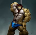 1boy abs anthro bara beard biceps braford briefs clothing feline flexing furry hair hairy happy_trail lion male male_only muscle muscles no_humans pecs penis pose pubic_hair red_hair showing_off solo testicles thong tiger torn_clothing yaoi