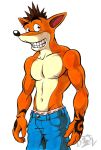 bandicoot crash_bandicoot furry male no_sex solo