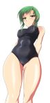 1girl 1girl alluring braid covered_erect_nipples female_focus fire_emblem fire_emblem:_the_sacred_stones green_eyes green_hair intelligent_systems long_hair matching_hair/eyes nintendo one-piece_bikini ponytail single_braid swimsuit vanessa_(fire_emblem)