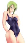 1girl 1girl alluring female_focus fire_emblem fire_emblem:_the_sacred_stones green_eyes green_hair intelligent_systems matching_hair/eyes nintendo one-piece_bikini swimsuit vanessa_(fire_emblem)