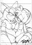 aku_tojyo amy_rose furry monochrome nipples pussy_juice rouge_the_bat sega sonic_the_hedgehog tojyo tribadism yuri