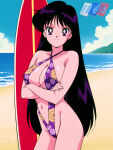 1girl accurate_art_style adult_swim alluring bare_legs beach big_breasts bikini bishoujo_senshi_sailor_moon bishoujo_senshi_sailor_moon_r bishoujo_senshi_sailor_moon_r_the_movie bishoujo_senshi_sailor_moon_s bishoujo_senshi_sailor_moon_s_the_movie bishoujo_senshi_sailor_moon_supers bishoujo_senshi_sailor_moon_supers_the_movie black_hair michael_benson purple_eyes rei_hino surfboard toei_animation toonami viz_media