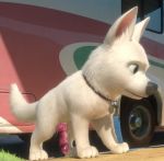 bolt disney dog tagme