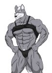  abs beard biceps bulge canine chest_hair clothing eyebrows facial_hair fist hair happy looking_at_viewer male mohawk muscles navel nintendo nipples one_eye_closed pecs pubic_hair shirt smile solo speedo standing star_fox transparent_background underwear video_games wink wolf wolf_o&#039;donnell wolfoxokamichan 