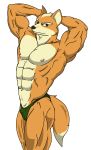 fox mccloud fan art