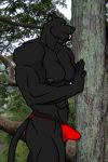 male no_sex panther partially_clothed solo