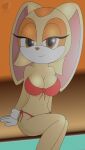 cream the rabbit from sega by dreameclipsewolf