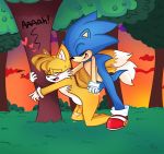 miles "tails" prower from sega by silly (artist)