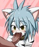  byakko_no_kogenta fellatio furry licking machimote_taikou machimotetaikou onmyou_taisenki oral penis 