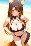  1girls ai_generated beach big_breasts bikini black_bikini blush breasts brown_hair cleavage female_only hands_on_hips hands_on_own_hips hellhound indie_virtual_youtuber indie_vtuber long_hair multicolored_hair multicolored_tail orange_eyes orange_hair outside sinder_(vtuber) smile solo_female virtual_youtuber vtuber wolf_ears wolf_girl 