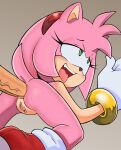  1boy 1girl amy_rose anal_sex female hedgehog male nude randomguy999 sega sex sonic_the_hedgehog_(series) 