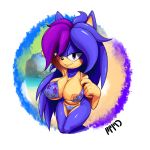 2013 beach big_breasts bikini breasts fan_character female hedgehog looking_at_viewer marthedog nipples pose seaside sega skimpy smile solo sonic_(series) sonic_fan_character sonic_fancharacter tight_clothing wink