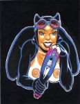  batman batman_(series) bruce_wayne catwoman dc_comics rob_durham selina_kyle vibrator 