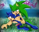  anal archie_comics domination gay penetration scourge_the_hedgehog sega sex sonic sonic_team sonic_the_hedgehog yaoi 