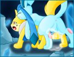 buizel glaceon pokemon tagme