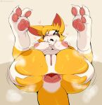 <3 1girl 3_toes anthro anus ass bat big_ass big_breasts blush bodily_fluids breasts dust:_an_elysian_tail feet fidget fidget_(elysian_tail) gaping gaping_anus genitals jinu looking_at_viewer mammal nimbat nipples one_eye_closed pawpads paws presenting pussy soles spread_anus spread_butt spreading sweat toes