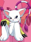 bbmbbf digihentai digimon gatomon nude palcomix