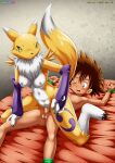 bbmbbf digihentai digimon palcomix renamon sex tai_kamiya