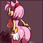 amy rose from sega by kayla-na