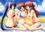  3girls barefoot beach bikini blue_hair blush brown_hair clouds hair ikegami_akane long_hair multiple_girls ocean short_hair sky toes wink with_ribbon 