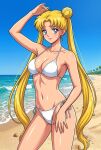  1girl adult_swim alluring beach bishoujo_senshi_sailor_moon bishoujo_senshi_sailor_moon_r bishoujo_senshi_sailor_moon_r_the_movie bishoujo_senshi_sailor_moon_s bishoujo_senshi_sailor_moon_s_the_movie bishoujo_senshi_sailor_moon_supers bishoujo_senshi_sailor_moon_supers_the_movie blonde_hair blue_eyes blue_sky cleavage dario medium_breasts ocean pin_up toonami usagi_tsukino viz_media 
