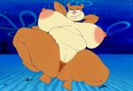  1girl arms_behind_head black_eyes breasts brown_fur cleft_of_venus completely_nude_female emilyronp field furry furry_female nickelodeon night_sky nipples nude_female pussy sandy_cheeks spongebob_squarepants squirrel_girl voluptuous_female 