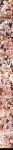  6boys after_anal ahegao anal androgynous anus ass balls balls_deep black_hair blonde_hair cowgirl_position cum_in_ass cum_inside cum_on_body dark-skinned_male doggy_position ejaculation ejaculation_while_penetrated elf english_text erect_nipples facial fellatio femboy kissing leg_lock licking_penis manga missionary_position multiple_boys nipples orgy pantyhose penis pink_hair pointy_ears shuffle_(songdatiankong) small_breasts small_penis soles stockings sucking_testicles testicle torn_pantyhose trap uncensored white_hair yaoi 