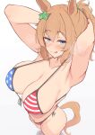  1girl 1girl :q american_flag american_flag_bikini american_flag_print animal_ears arms_behind_head bikini blue_eyes blush breasts commentary_request flag_print flag_print_bikini gradient_background grey_eyes hair_ornament high_res himura_anzu horse_ears horse_girl horse_tail looking_at_viewer orange_hair print_bikini standing star_(symbol) star_hair_ornament swimsuit taiki_shuttle_(umamusume) tail tongue tongue_out umamusume 