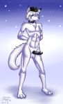 2012 abs absurd_res anthro balls blue_eyes canid canine canis clothing collar digital_media_(artwork) erection genitals hi_res katsuke male mammal nude original penis russian solo tail talon_(katsuke) wolf