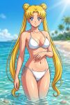  1girl adult_swim alluring beach bishoujo_senshi_sailor_moon bishoujo_senshi_sailor_moon_r bishoujo_senshi_sailor_moon_r_the_movie bishoujo_senshi_sailor_moon_s bishoujo_senshi_sailor_moon_s_the_movie bishoujo_senshi_sailor_moon_supers bishoujo_senshi_sailor_moon_supers_the_movie blonde_hair blue_eyes blue_sky cleavage dario medium_breasts ocean pin_up toonami usagi_tsukino viz_media 