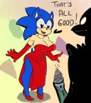 sonica the hedgehog from sega by cuisine