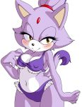 2013 belly blaze_the_cat blush breasts cat feline female furry midriff navel pose sega skimpy smile sonic_(series) sonicboom53 swimsuit