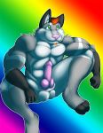 erection furry goatee knot male penis rainbow rainbow_pattern sheath solo wolf